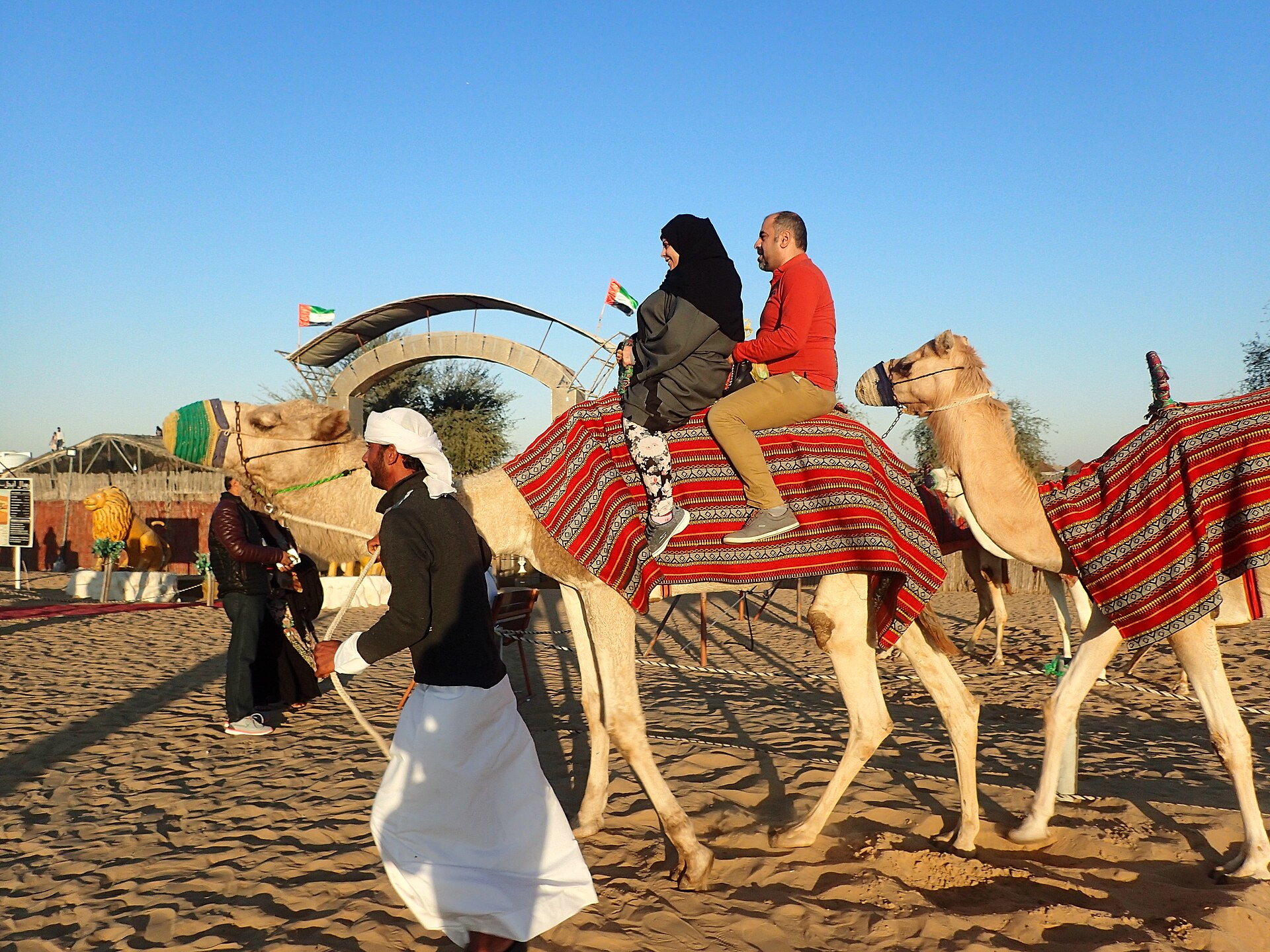 Passeio de camelo nas areias do deserto durante o safari em Dubai