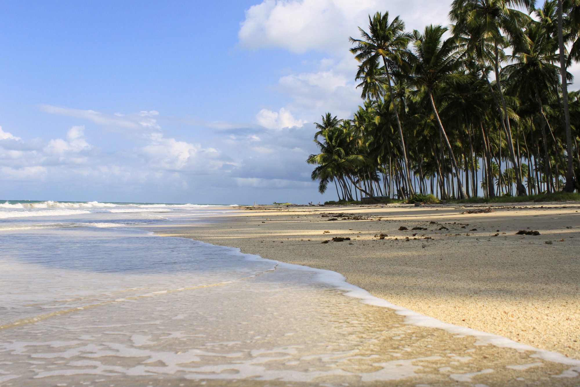 Praia dos Carneiros com coqueiros