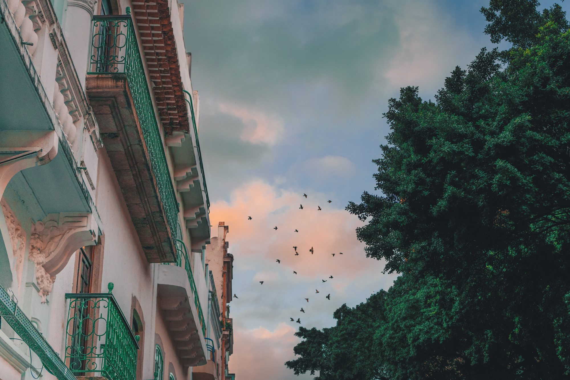 Casarões do Bairro do Recife Antigo